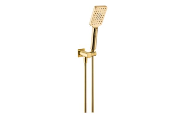 Abode Uno Hand Shower Set - Brushed Brass