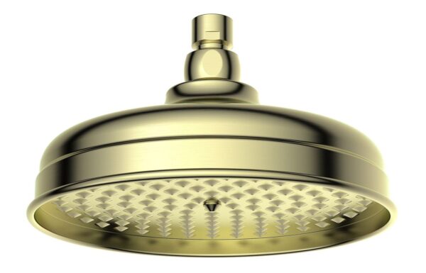 Novello Renvex 200mm Round Traditional Showerhead - Brushed Brass